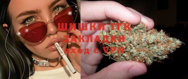 тгк Верея