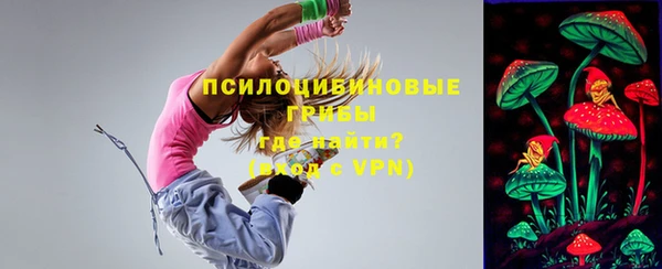 тгк Верея